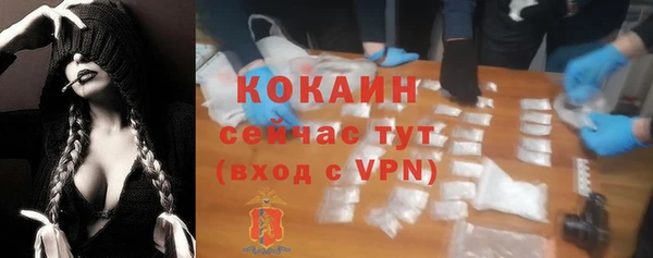 спайс Алзамай