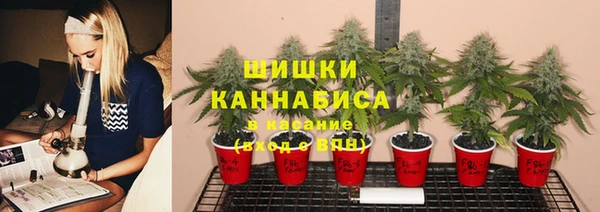 прущие крисы Алексеевка